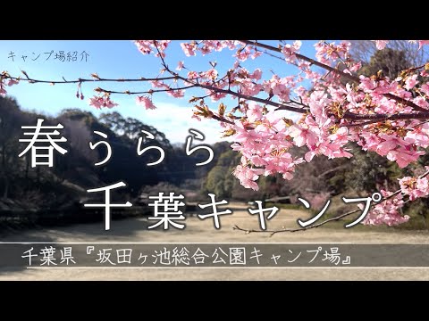 【コスパ最強クラス！千葉の激安キャンプ場】坂田ヶ池総合公園キャンプ場 ⭐︎ソロキャンプ Japanese Camping