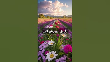 { الم تر كيف فعل ربك باصحاب الفيل } سورة الفيل ياسر الدوسري 🩵❤️🩵❤️