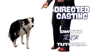 Directed Casting - DMWYD Trick Tutorial by Pam's Dog Academy 105 views 1 month ago 2 minutes, 53 seconds