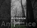 5 Cinematic Sounds