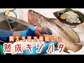 【10日熟成】キジハタの最高の食べ方が分かりました