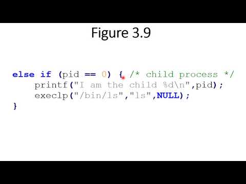 EECS 338 - using execvp