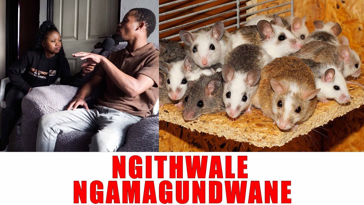 Ep 327 Ngithwale Ngamagundwane That Why I Don't Need Tlof Tlof