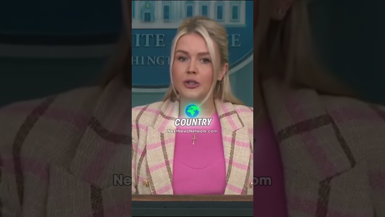 EXPOSED: Trump Team Reveals Democrats Think Their OWN Voters Are Too STUPID to Get ID