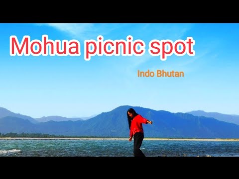 Mohua picnic spot near Bhutan  Indo Bhutan  Alipurduar picnic spot  Torsha river side 