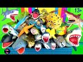 Sea Animals - Sharks, Whales, Fish, Shellfish, Cephalopods, Crustaceans, Rays, Turtles 13+