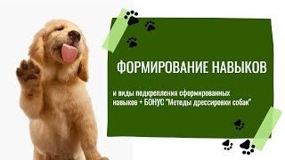 видео: Формирование навыков у собак картинка: Формирование навыков у собак