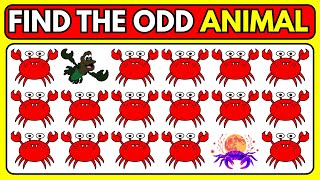 Find the ODD One Out – Animal Edition 🐺🐯 | Easy, Medium, Hard – Level 93 | Mindful Mosaic 2.0