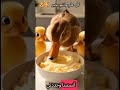 يا ليلة العيد آنستينا العيد العيد فرحه وداعا رمضان اهلا اهلا بال ا تصميمي رمضان Funny يا ليلة العيد آنستينا العيد العيد فرحه وداعا رمضان اهلا اهلا بال ا تصميمي رمضان Funny