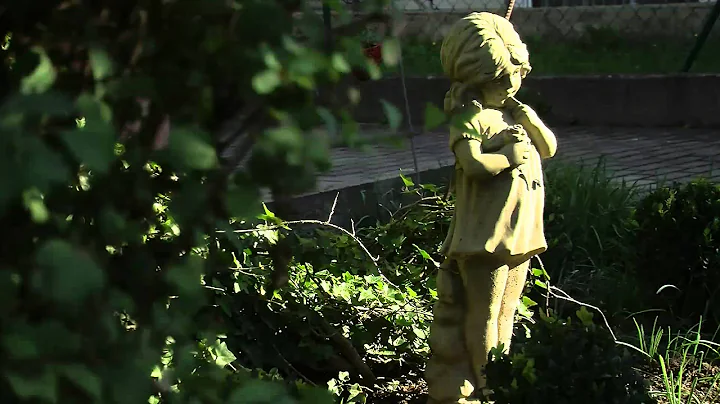 JVC GY-HM100 Outdoor test footage 2