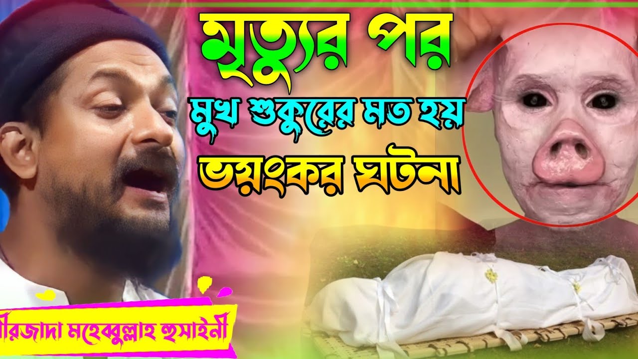 একটি সুদখোরের  মৃত্যুর পর মুখ টি শুকুরের মত হয়ে যায়_ভয়ংকর ঘটনা_Pirzada Junaid Siddiqui waz 2022