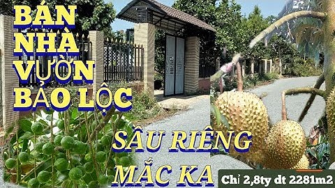 CẦN BÁN CĂN NHÀ VƯỜN SẦU RIÊNG MẮC KA-TAI BẢO LÔC -33m mặt tiền đường, 400tc