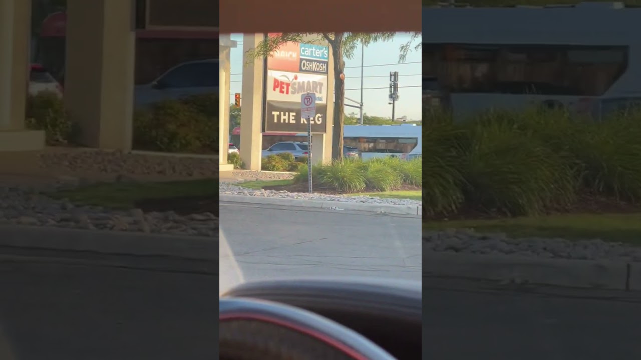 MiWay | 2021 New Flyer XDE60 Route 61 S Mavis to City Centre