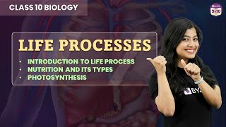 Life Processes- L1 | Introduction to Life Processes | Photosynthesis | Chapter 5 Class 10 Science screenshot 4