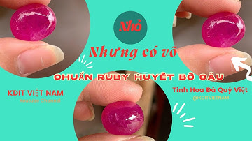 Viên Ruby Huyết Bồ Câu 6.5 Carat | Tuyệt Tác Đá Quý Lục Yên | KDIT VIỆT NAM