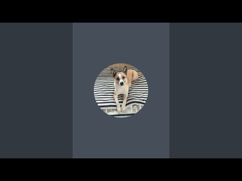 【生配信】ビーズアートキット絵画「建物」制作風景Part２