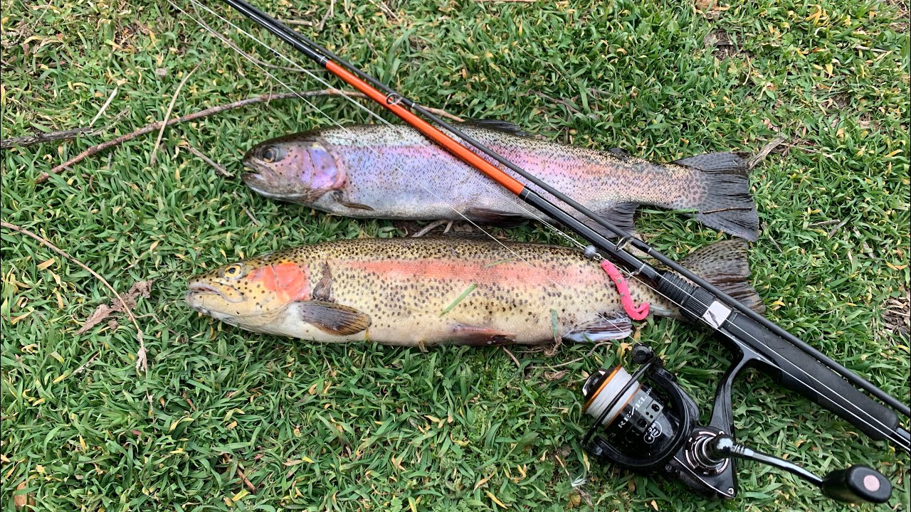 Իշխանի ձկնորսություն հրաշք գետում  Ловля форели на прекрасной речке