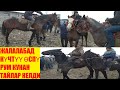 КӨП АТТАР САТЫЛЫП КЕТИП ЖАТАТ ЖАЛАЛАБАД 04/01/2020