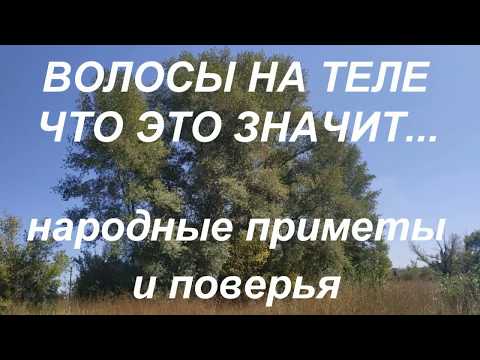 Приметы о волосах. Народные приметы поверья