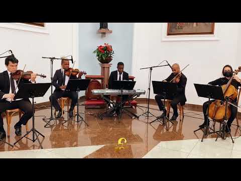 Riptide (Vance Joy) Quarteto de Cordas e Piano | Elegance Musical | Instrumental