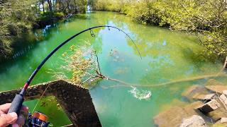 Canal & Drain Fishing, Flatty Comp, Soft Plastics, Catch n Cook... screenshot 4