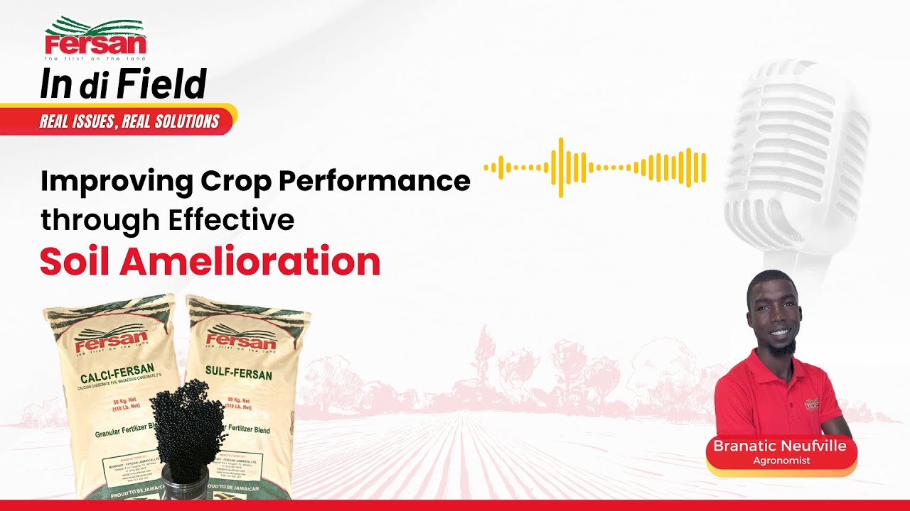 Improving Crop Performance with Effective Soil Amelioration - YouTube