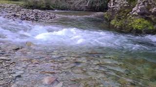 Río cordillerano, sector Los Cajones, Hueyusca Comuna de Purranque Región de Los Lagos