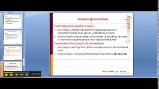 Chapter 11 and 12 - Video 4: Sales Incentives