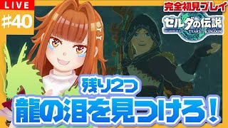 【#ゼルダの伝説TotK】#40 残すはあと2か所！龍の泪をみつけよ🐉💧【御主むむ】