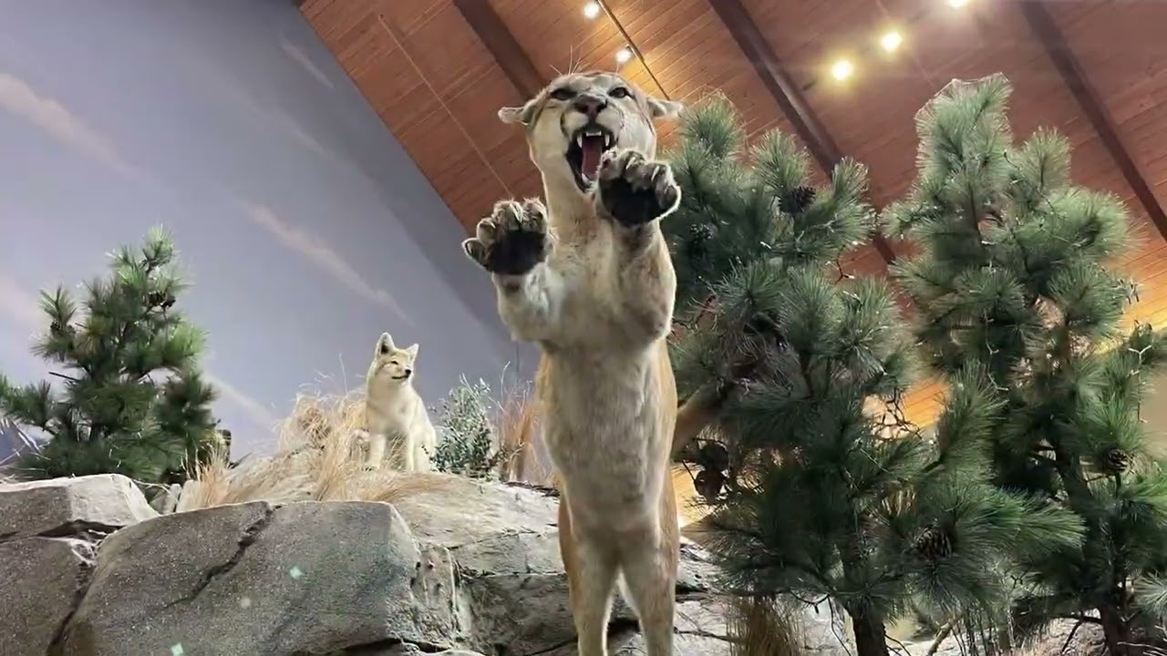 Welcome to Nottingham, PA