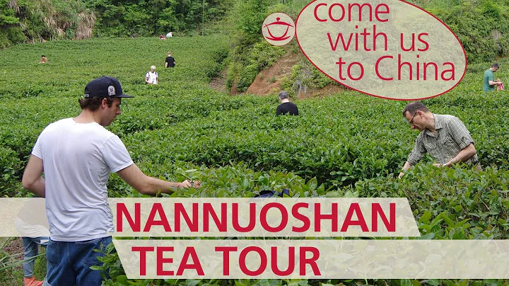 TEA TOUR | TEEREISE: Come with us on a tea journey to China! 24th April - 4th Mai 2020. - DayDayNews