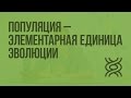 Популяция - элементарная единица эволюции. Видеоурок по биологии 11 класс