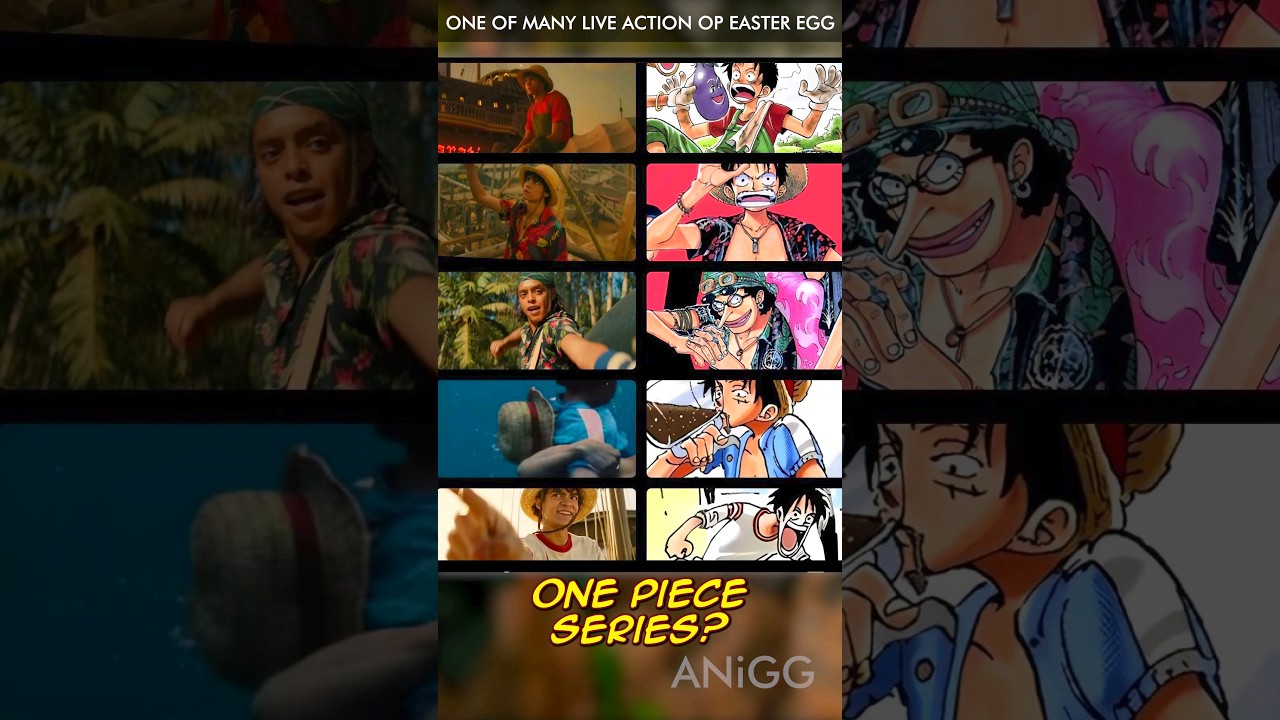 25 One Piece Live Action Easter Eggs You May Have Missed