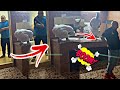 سنابات بوشنب الكوشه جلد علاوي وراح فيها شااابه شبوبه
