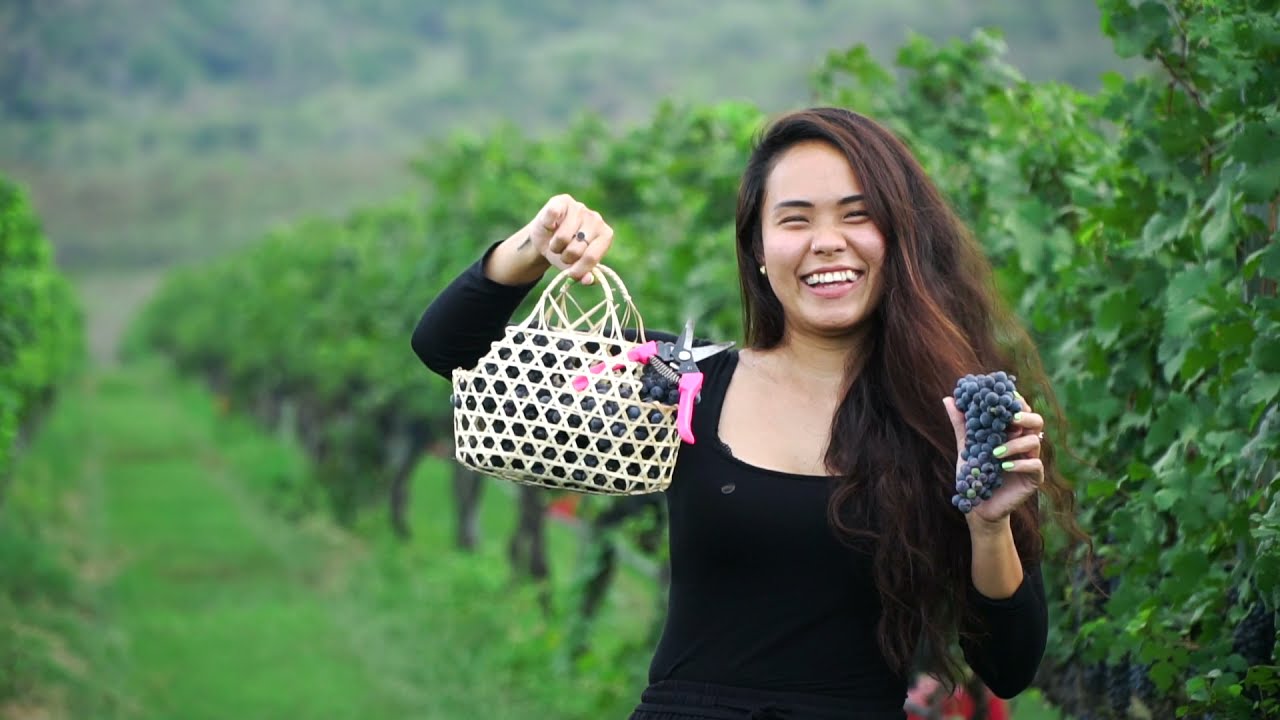 MONSOON VALLEY “Celebrating Exceptional 2021 Harvest for Monsoon Valley Vineyard