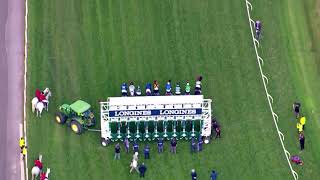 Winx final race