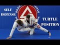 Escape from Turtle Position