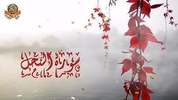 من تلاوات صلاة الفجر (من سورة النحل)