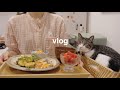 【ヘルシーレシピ】食べながらゆるくダイエット🥗野菜と豆腐を使った簡単で美味しい5日間の自炊vlog