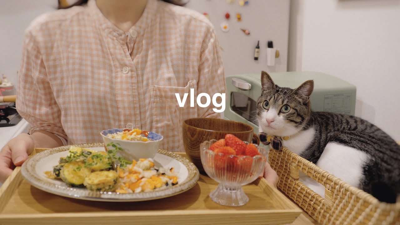 【ヘルシーレシピ】食べながらゆるくダイエット🥗野菜と豆腐を使った簡単で美味しい5日間の自炊vlog