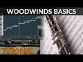 How To Write Orchestral Music - Using Woodwinds for Realism and Detail