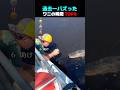 過去一バズった ! ? ワニの瞬間 TOP6