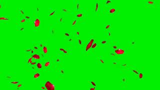 Falling Rose | falling Rose petals | green screen effect falling Rose | free download | template