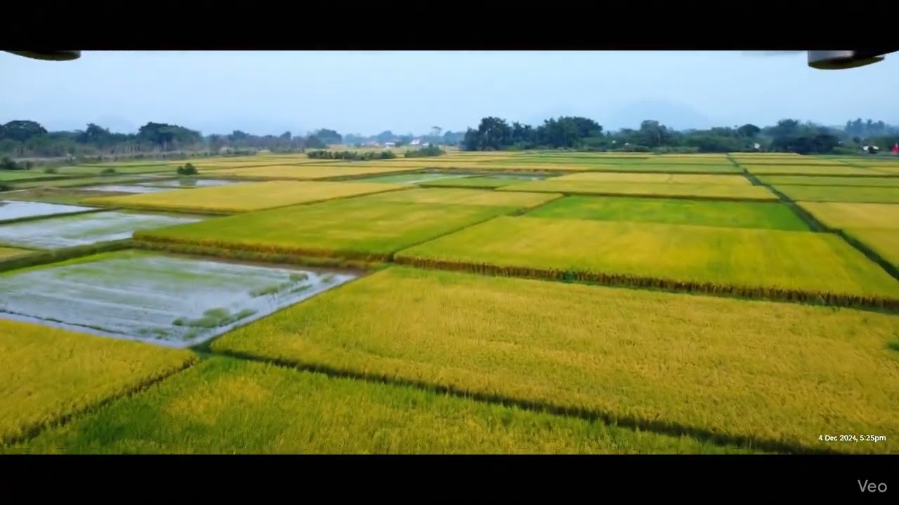 "Healing for the soul. 🌾✨"Hashtags: