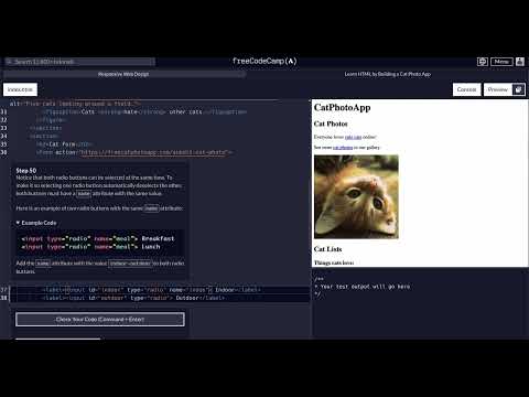 FreeCodeCamp Responsive Web Design Step 50 Of 71 Learn HTML By Building A Cat Photo App