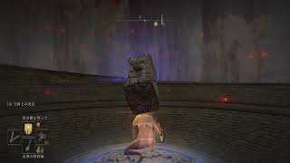 #78 【ELDENRING】【石肌の黒王】　砕石 screenshot 3