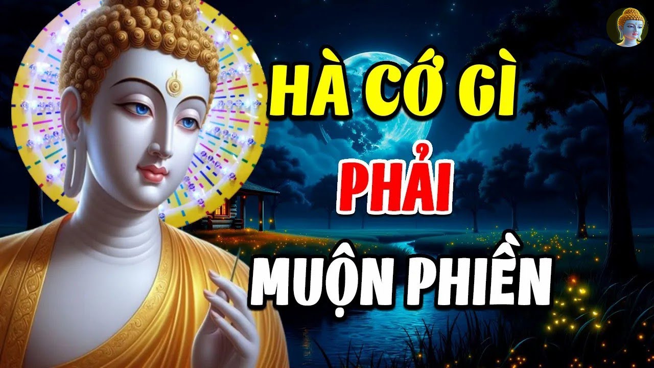 15 Truyện Nhân Quả Phật Giáo Có Thật 100%% Ở Việt Nam, Cảnh Tỉnh Thế Nhân Ai Cũng Nên Nghe