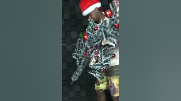 🎄 ÁRVORE DE NATAL CAIU EM CIMA DO BISTECONE! 😂🌟 #bistecone #lives