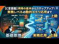 【C言語塾】再帰の基本からステップアップ！実務レベルの動的メモリ応用まで