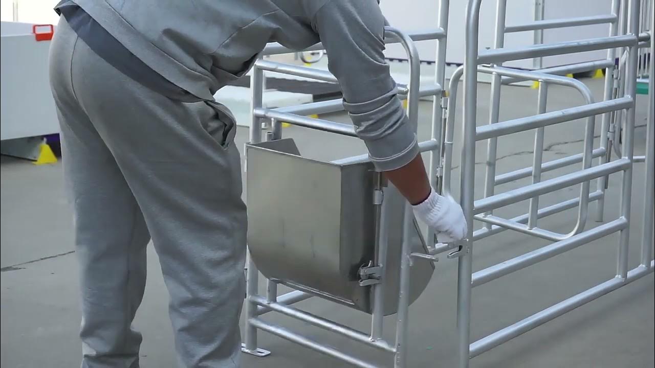 gestation crate gestation pen gestation cage YouTube